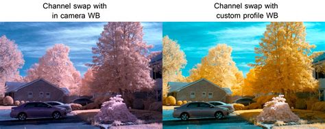 Custom DNG Tutorial for setting a white balance for infrared ...