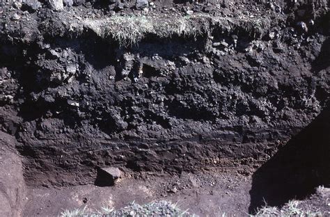 Excavation, Camelon Roman fort - Falkirk Council