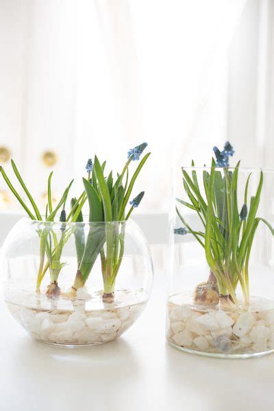 Easy Spring Bulb Arrangement