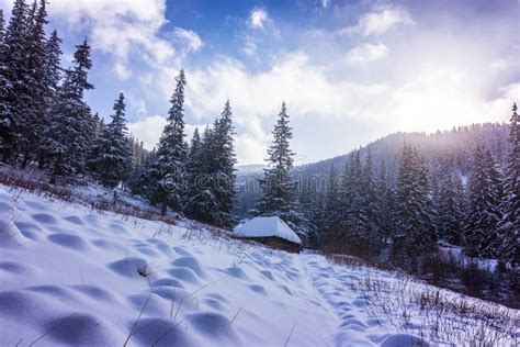 Bright High Alpine Winter Scenery, with Fresh Snow and Mist, in the ...