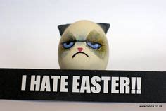 42 Grumpy Cat Easter ideas | grumpy cat, grumpy, grumpy cat humor