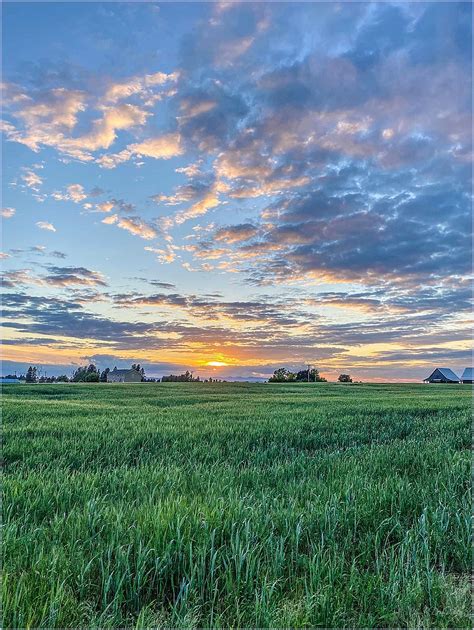 Sunset Farm - Landscape & Rural Photos - Don - Slackwater