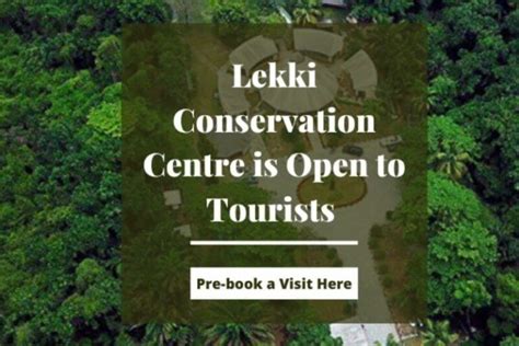 Lekki Conservation Centre Nigeria: Features, gate fees and what to do ...