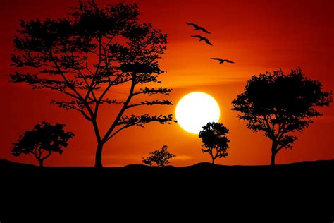 Atardecer Ambiente Nocturno Sol - Foto gratis en Pixabay