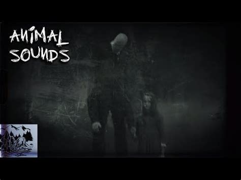 NIGHTMARE Sound Effects [designed with ANIMAL SOUNDS] : halloween