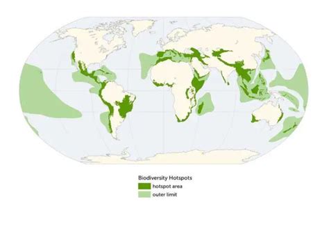 ﻿36 Global Biodiversity Hotspots