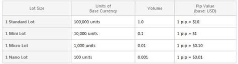 FOREX Basics: Order Types, Margin, Leverage, Lot Size | COLIBRI TRADER