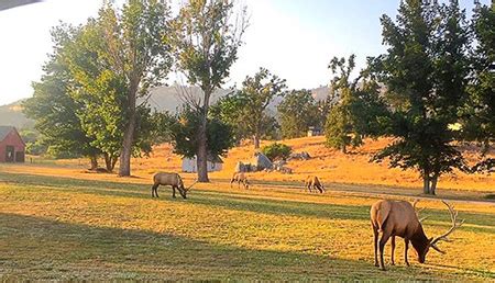 Tehachapi Life- Tehachapi, California