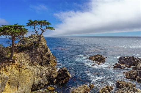 17 Mile Drive Pebble Beach Photograph by Scott McGuire - Pixels