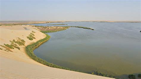 Al Ahsa 2021: Best of Al Ahsa, Saudi Arabia Tourism - Tripadvisor