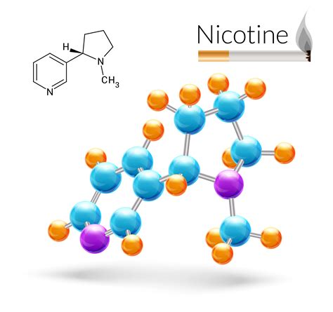 Nicotine Molecule Structure