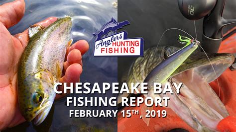 Chesapeake Bay Fishing Report - February 15th, 2019