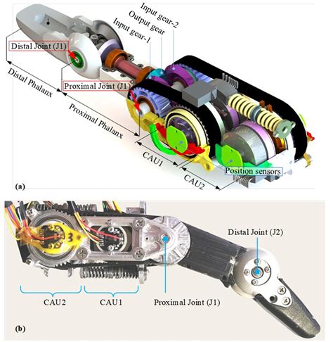 New compact and dexterous robotic finger that can withstand physical ...