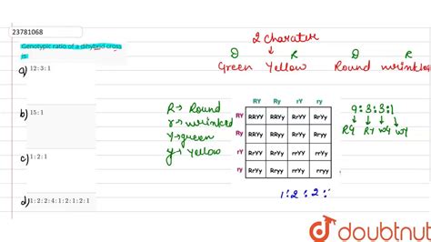 Genotype And Phenotype Ratios