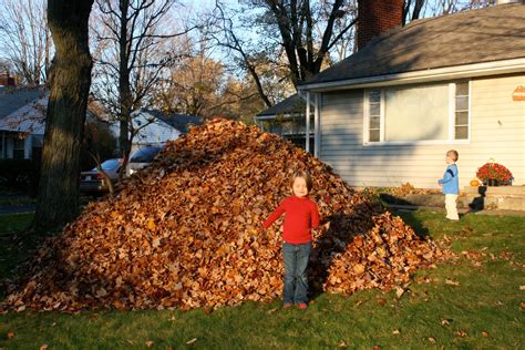 Life on Forestdale: Largest Leaf Pile in the World