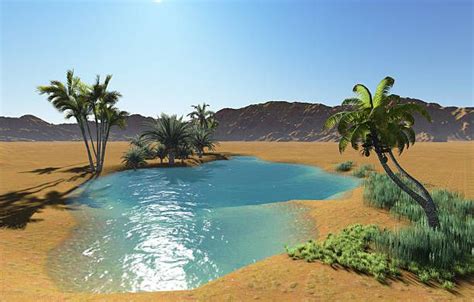 Pin de 규빈 이 em oasis | Ideias de paisagismo, Paisagismo piscina, Lindas ...