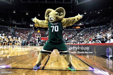 Colorado State Rams Mascot Photos and Premium High Res Pictures - Getty ...