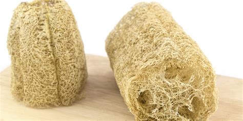 Our Permaculture Life: Which kitchen sponges can I compost?