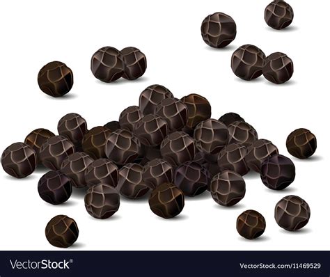 Black pepper closeup Royalty Free Vector Image