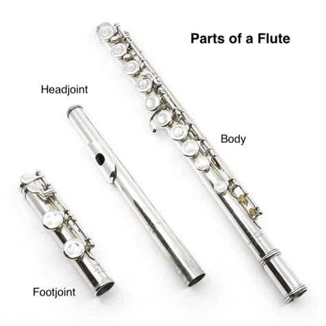 Lesson 2 - Assembly and Disassembly - FLUTE BOOT CAMP