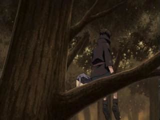 Naruto Shippuden - Episodio 317 - Shino vs Torune!! Online - Animezeira