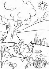 Coloring Pages Of Ponds sketch template