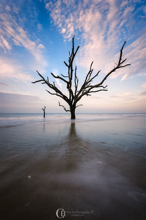 Botany Bay a treasure in South Carolina — Christian Hoiberg Landscape ...