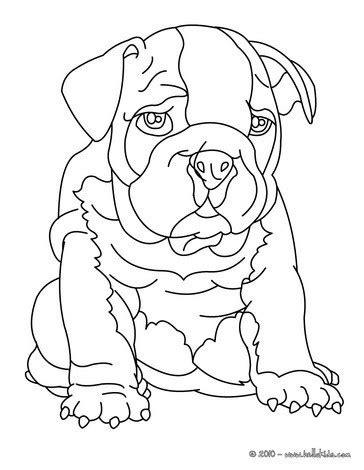 Bulldog coloring pages - Hellokids.com