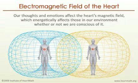 ELECTROMAGNETIC FIELD OF THE HEART | Electromagnetic field, Magnetic ...