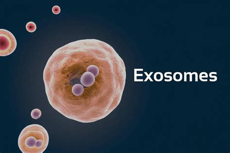 Exosome Treatment London | London Beauty Clinic