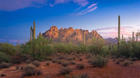 Sawtooth Mountains - Ironwood Forest National Monument - Tucson, AZ ...