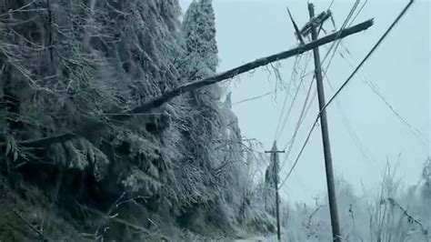 Trees Collapse Under Weight Of Ice Storm - Videos from The Weather Channel