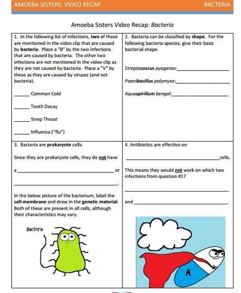 Amoeba Sisters Biomolecules Worksheets Answers