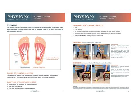 Printable Plantar Fasciitis Exercises and Fact Sheet - Physio Ed.