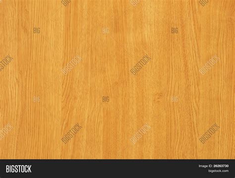 Maple Tree Wood Image & Photo (Free Trial) | Bigstock