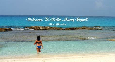 All Inclusive Packages | Stella Maris Resort Club & Marina - Long Island, Southern Bahamas Beach ...