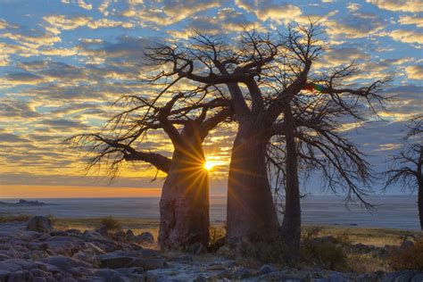 7 Reasons to visit the Okavango Delta | Untravelled Paths