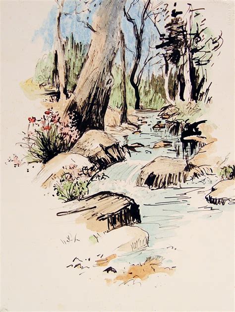 Forest Stream Study | Watercolor illustration, Drawings, Ink illustrations