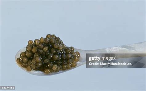 180 Beluga Whale Caviar Stock Photos, High-Res Pictures, and Images - Getty Images