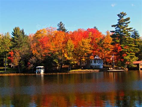 Old Forge Fall Foliage Old Forge Lake by AprilLewinPhotograph