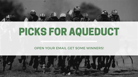 Best Picks for Aqueduct plus long shot plays 8-1 or higher