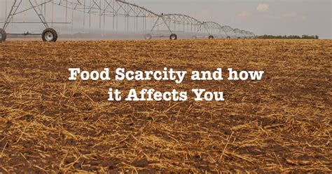 Food Scarcity and how it Affects You - The Local Farmer