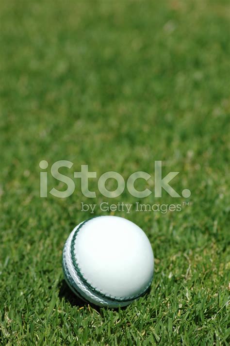 White Cricket Ball