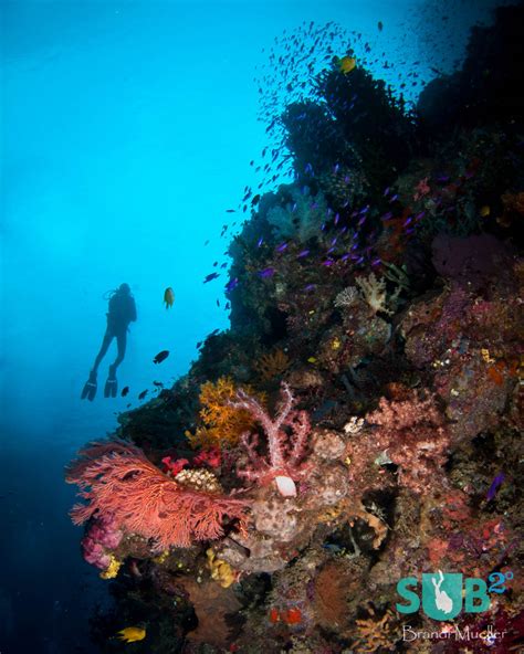 Papua New Guinea Diving | Scuba Diving Blog