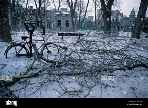 Canada ice storm 1998 hi-res stock photography and images - Alamy