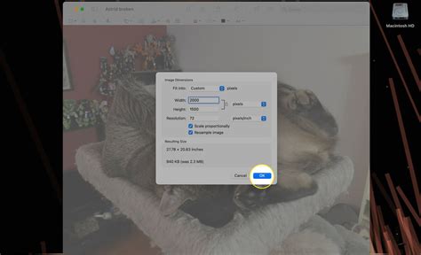 How to Resize an Image on Mac