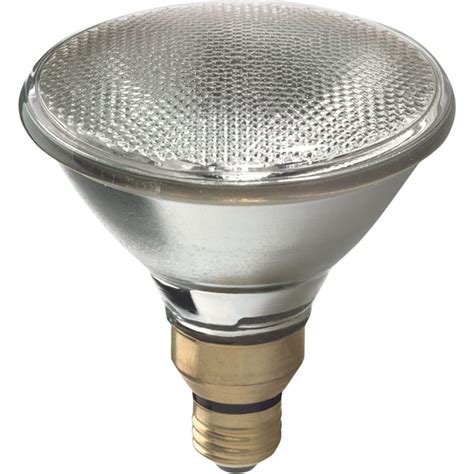 Bulbs For Outdoor Security Lights | harmonieconstruction.com