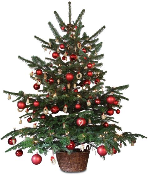 Sapin de Noël : choisir un sapin de Noël | Pratique.fr