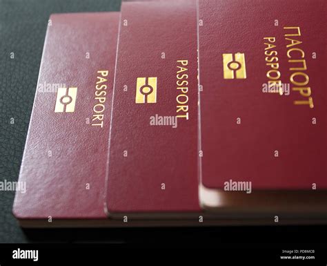 International passport. Customs control. Red Passport for travel in different countries ...