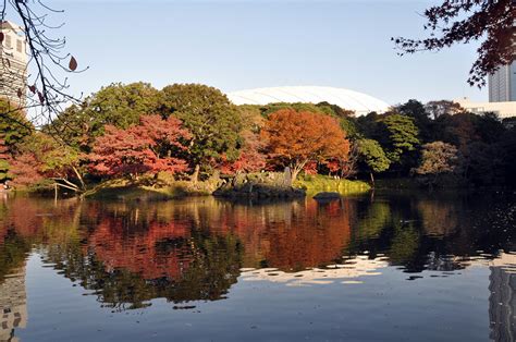 Two-Day Tokyo Fall Foliage Itinerary